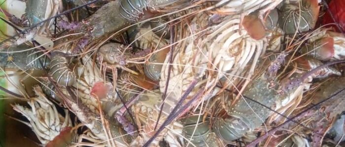 1a454407-099a-4942-8aa6-f79a2793d78b