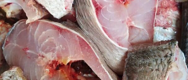 681e0f6f-4457-41b3-9d9f-0cf117b8b37f