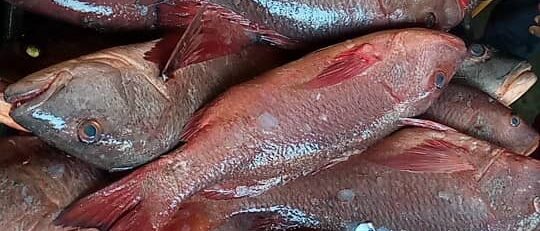 7689ed05-04a9-41ce-b784-b90b16a85b31