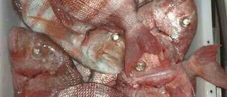 7a70fc48-bef9-4c06-a34b-e0390ba8d770