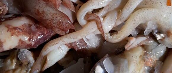 86dbec30-b02e-4e1a-ad51-3c2c229af185