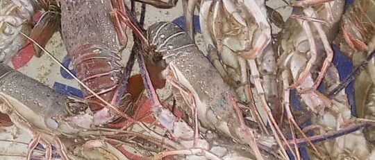 a50d0d23-2887-4e38-81f7-0ab83d0b18f3