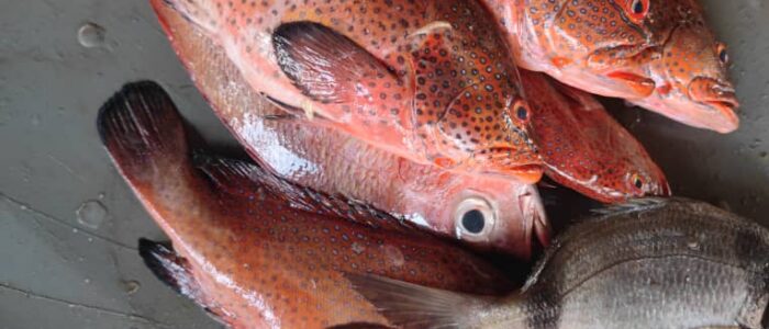 b8b89b82-e176-4743-b7b8-c75d1e80b47b