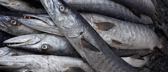 c20e9497-a0c7-412d-a365-c9c403e1d6e7 (1)