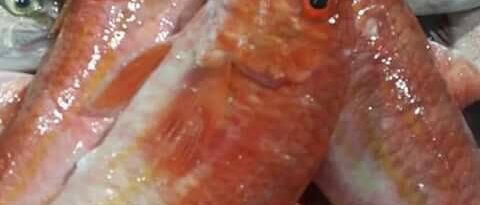 edbd9411-939b-49d4-be6d-500f964a71ab