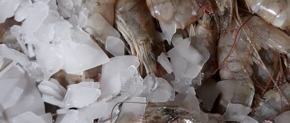 f1d40a45-5228-43b5-9c80-8d5291c4d71a