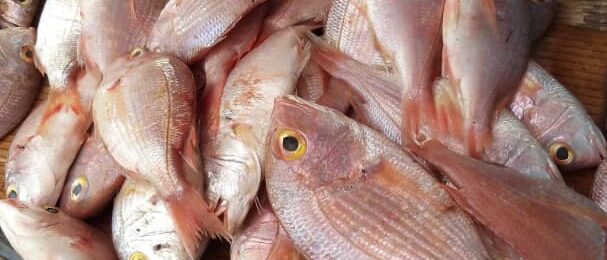 f517cd75-25bd-44ce-b17b-8de6a4d56e22