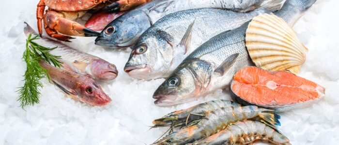 nos_incontournables__090744000_1512_14112016